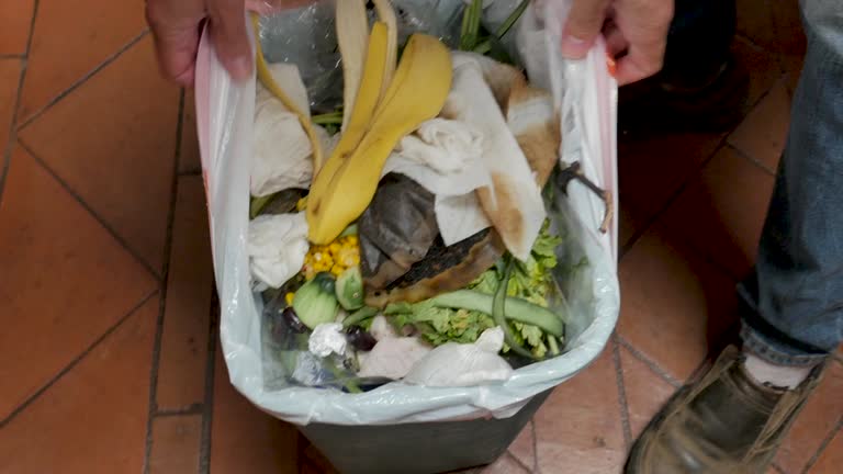 Best Yard Waste Removal  in Inverness, CO